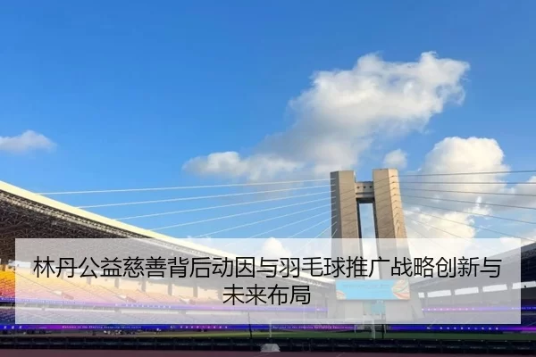 林丹公益慈善背后动因与羽毛球推广战略创新与未来布局